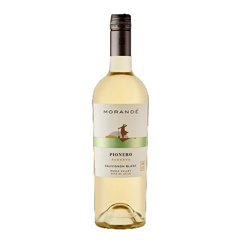 Morandé Pionero Sauvignon Blanc